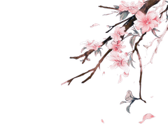 도화·桃花ㅣ요괴ㅣ女