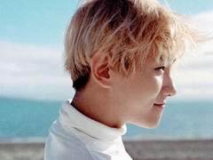 한여름 밤의 꿈 01