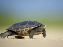 효율적인 것으로부터 있는 힘껏 멀어지기