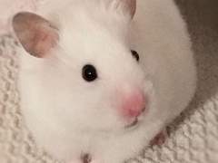 일이삼사오육칠씨팔