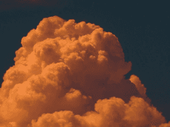 5. 외계인 침공 대응 생존기-너 혀가 신경이 없구나, 신경 세포가 없구나 혀에?-