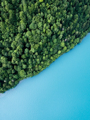 [발더스 게이트3] 단편