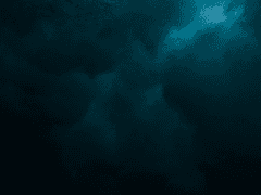 연재 주기 공지