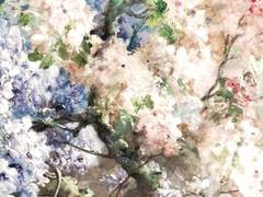 궤도에 갈라선 사자의 엄승