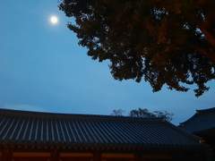 나를 시험에 들게 한 그 남자