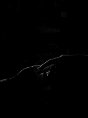 처음이자 마지막이 될 춤을