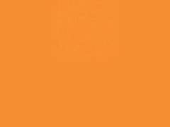 폭주 고릴라에게.