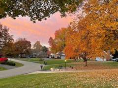 가을이 될 걸 그랬나