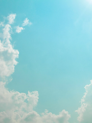 푸른 봄을 기다리며