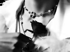 뱀파이어와 인간. 그리고 좀비