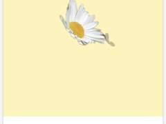 [굿노트] 굿노트 만년형 일기장 다이어리 속지 무료 공유(샤스타데이지 옐로우 테마)