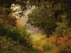 [소을]그곳이 어디든