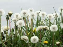 토끼같은 딸을 기다리고 있어요.