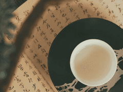 장강풍운 第 二.