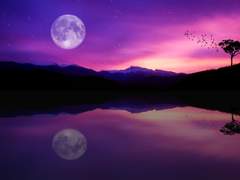 [레이라티] One week, Seven days