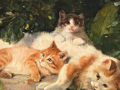 네코마가 고양이라면?