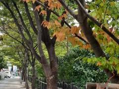 하루 아침에 그 인간이 변해버렸다