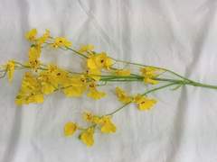 [신재조영] 우당탕탕 신혼일기 1