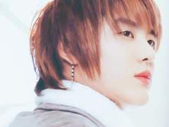 [브로드웨이 드라큘라] 무한한 굴레