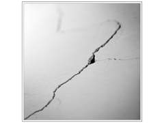 시즈메 가의 괴물