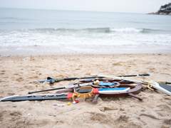 로오히-사르디나