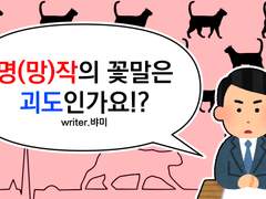 [명(망)작의 꽃말은 괴도인가요!?]