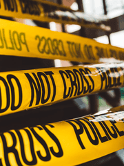 그레이 리버스 조사일지