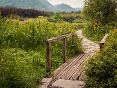 Chapter 2. 모험의 시작 (The beginning of an adventure)