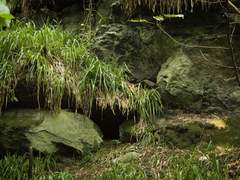 Chapter 2. 모험의 시작 (The beginning of an adventure)