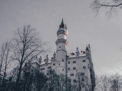 북부대공과 이혼을 추구하면 안되는걸까