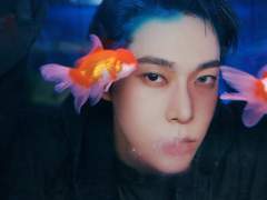 인어의 우애(愚騃)