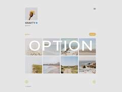 GRAVITY SKIN 19 - 카피라이트 삭제