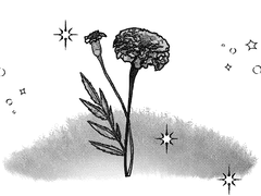 반드시 다시 만날 수 있을 거예요