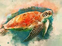 무원이 말이 없는 이유에 대하여.