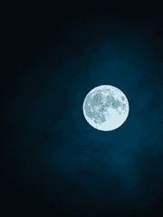 아침이 오지 않는 세계