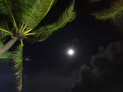 그녀는 자바칩 프라프치노를 시켰다