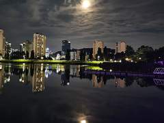 호수공원, 남산