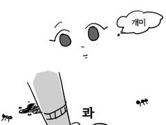 의젓끼끼 세계관 동끼끼