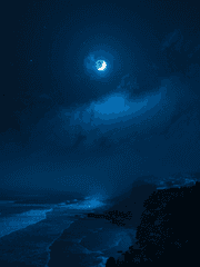 그들이 보는 세계