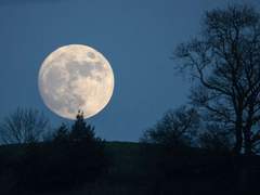 달이 아름다운 밤엔 / 달리 어찌하겠습니까?