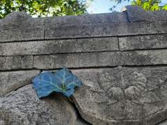 그건, 처음 본 여자한테 할 말은 아니지