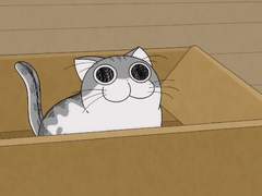 우리 집 바람돌이들🐱 5