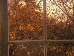 𝟸𝟹.𝟷𝟶.𝟺~𝟷𝟶. 𝟫