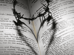 인간의 아름다움에 대하여…