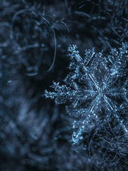 fᵣₒₘ. 𝓦𝓲𝓷𝓽𝓮𝓻