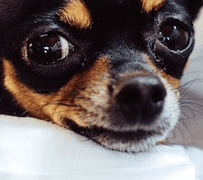 잼민이의 짝사랑 고민을 들어주세요