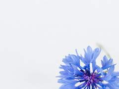 세계의 뒤편에서