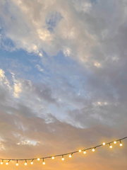 소방서옆경찰서(그리고국과수)