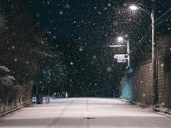 다시 그날이었다