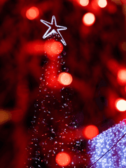 2023 뮤지컬 '쇼맨:어느 독재자의 네 번째 대역배우'